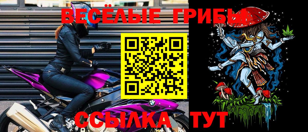 Галлюциногенные грибы мицелий  Галлюциногенные грибы GOLDEN TEACHER  Обнинск  Вход с VPN 