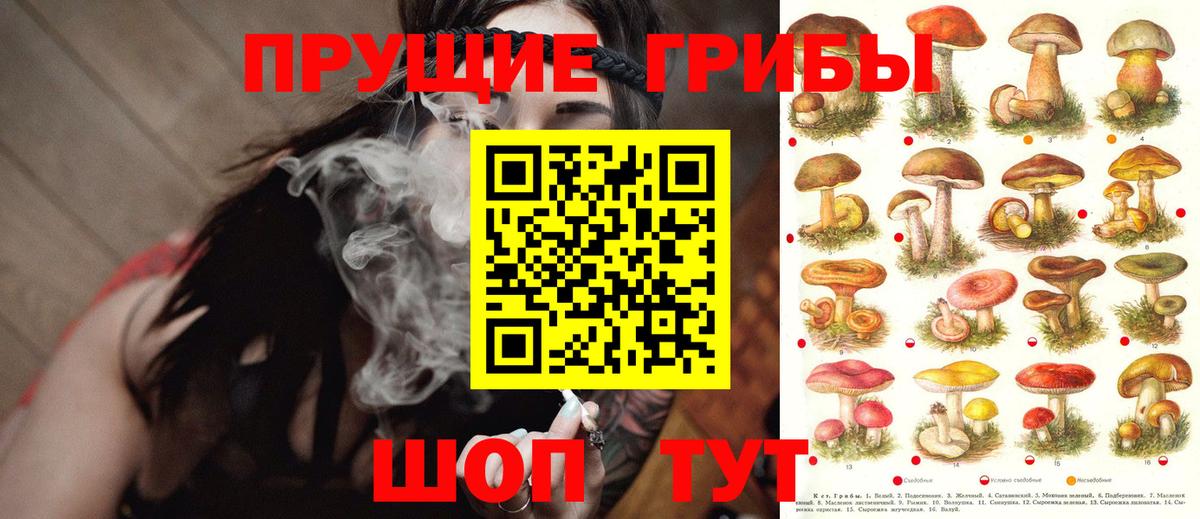 Псилоцибиновые грибы GOLDEN TEACHER Обнинск