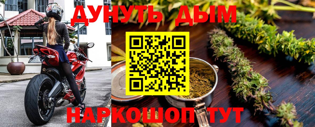 Каннабис OG Kush Обнинск